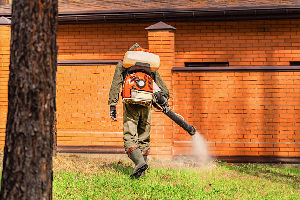 Trusted Termite Control service in Paloma Creek, TX - Nex Pest Control
